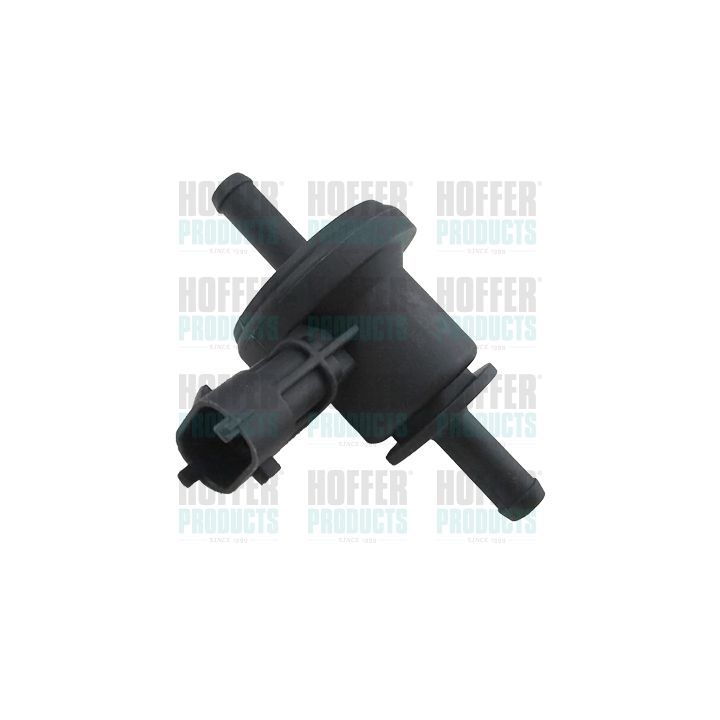 Slėgio keitiklis HOFFER 8029475