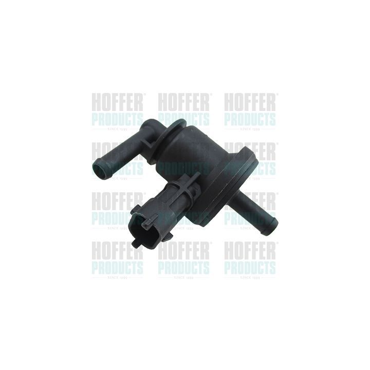 Slėgio keitiklis HOFFER 8029888