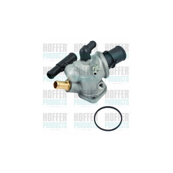 Termostatas, aušinimo skystis HOFFER 8192030