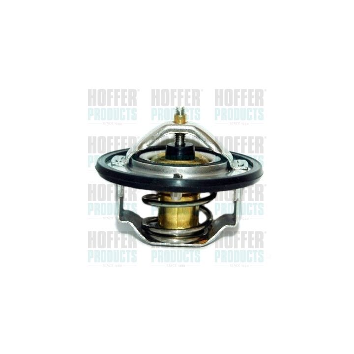 Termostatas, aušinimo skystis HOFFER 8192137