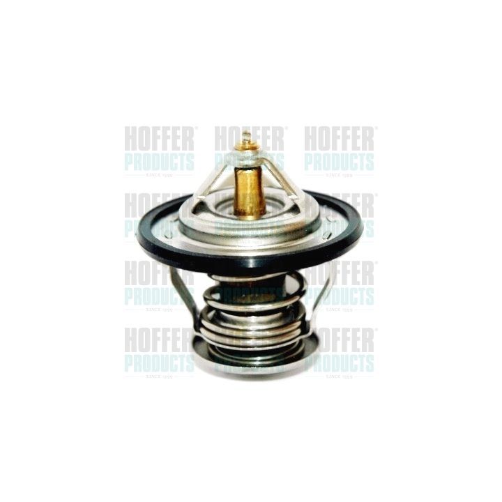 Termostatas, aušinimo skystis HOFFER 8192154