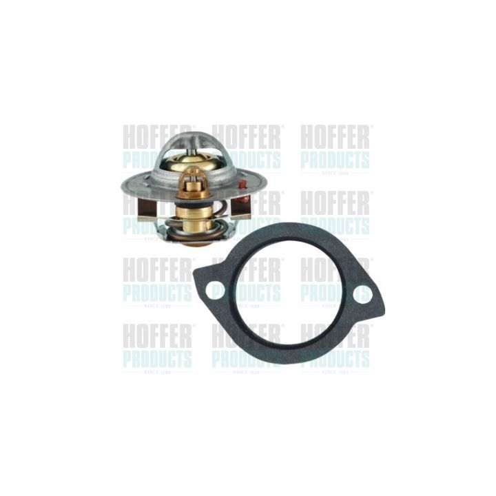 Termostatas, aušinimo skystis HOFFER 8192188