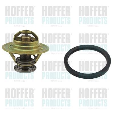 Termostatas, aušinimo skystis HOFFER 8192237