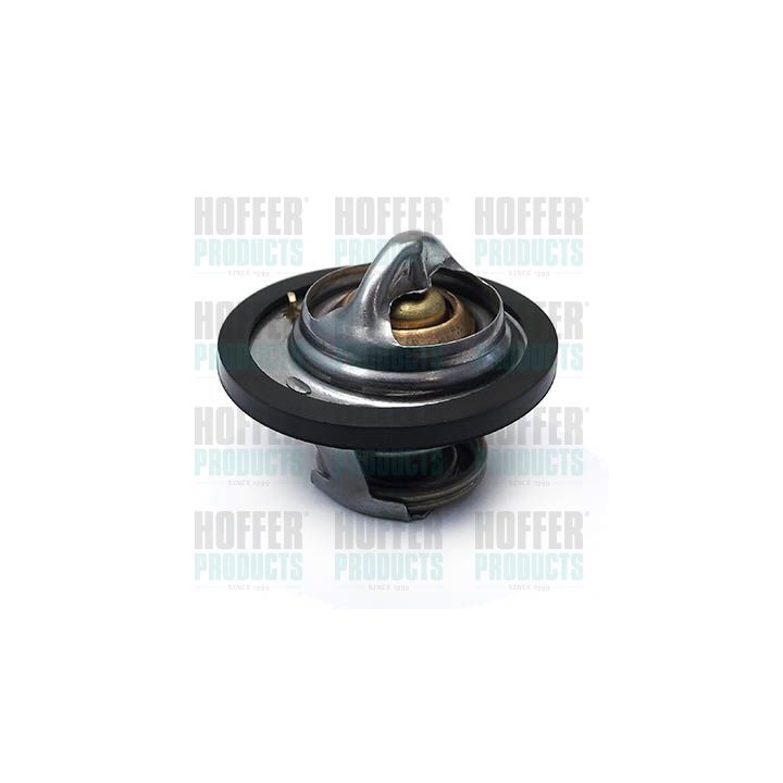 Termostatas, aušinimo skystis HOFFER 8192290