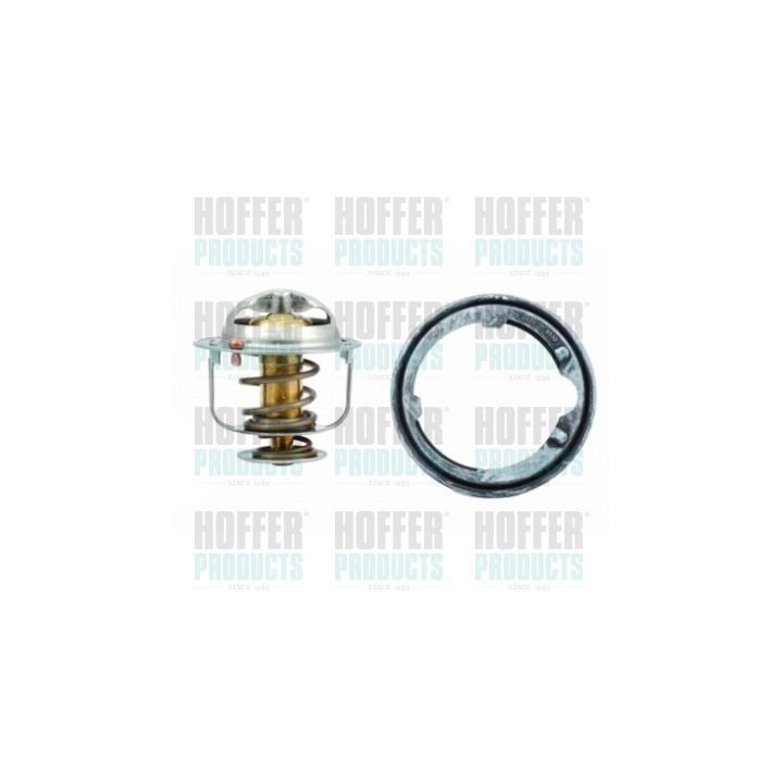 Termostatas, aušinimo skystis HOFFER 8192414