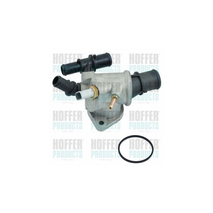 Termostatas, aušinimo skystis HOFFER 8192416