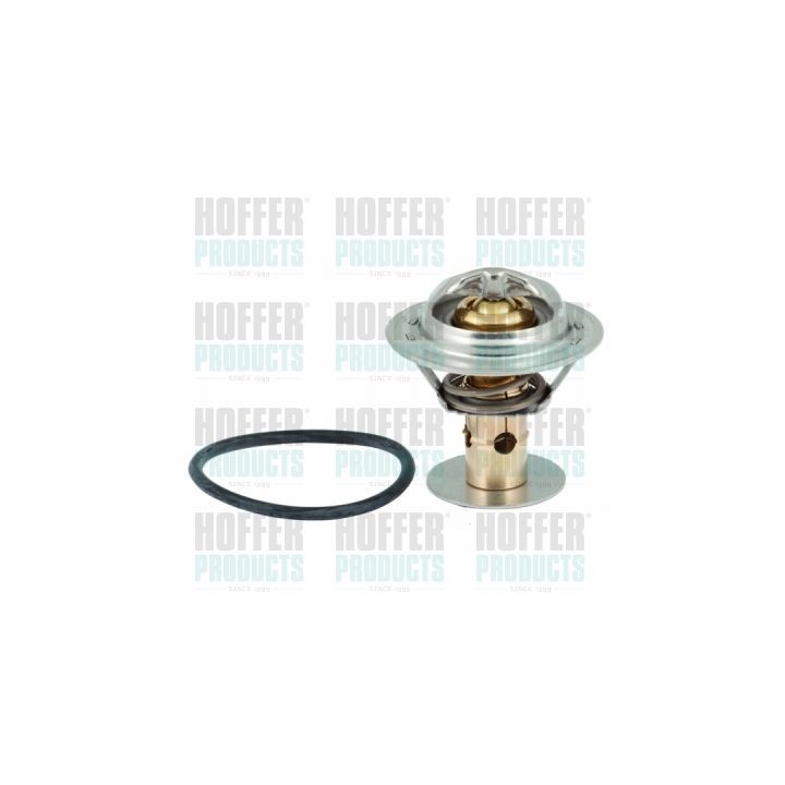 Termostatas, aušinimo skystis HOFFER 8192419