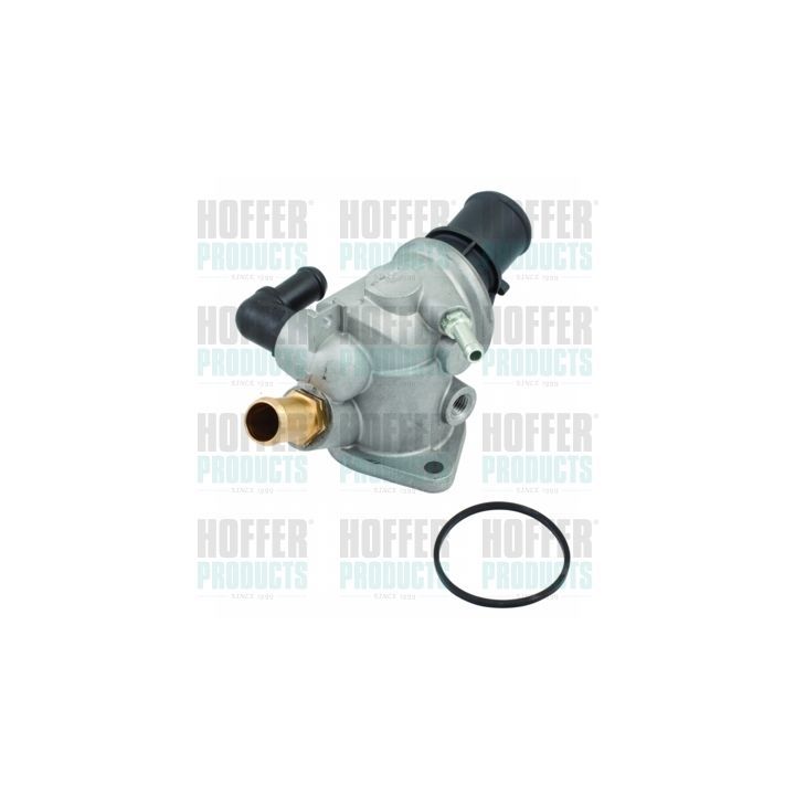 Termostatas, aušinimo skystis HOFFER 8192482