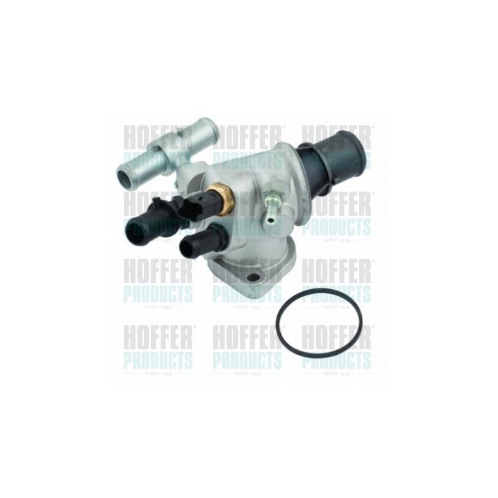 Termostatas, aušinimo skystis HOFFER 8192483