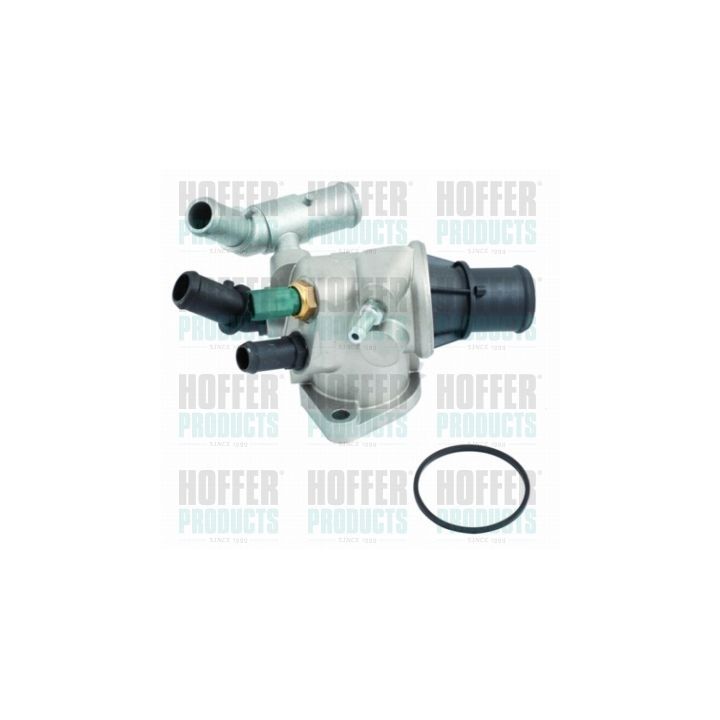 Termostatas, aušinimo skystis HOFFER 8192490