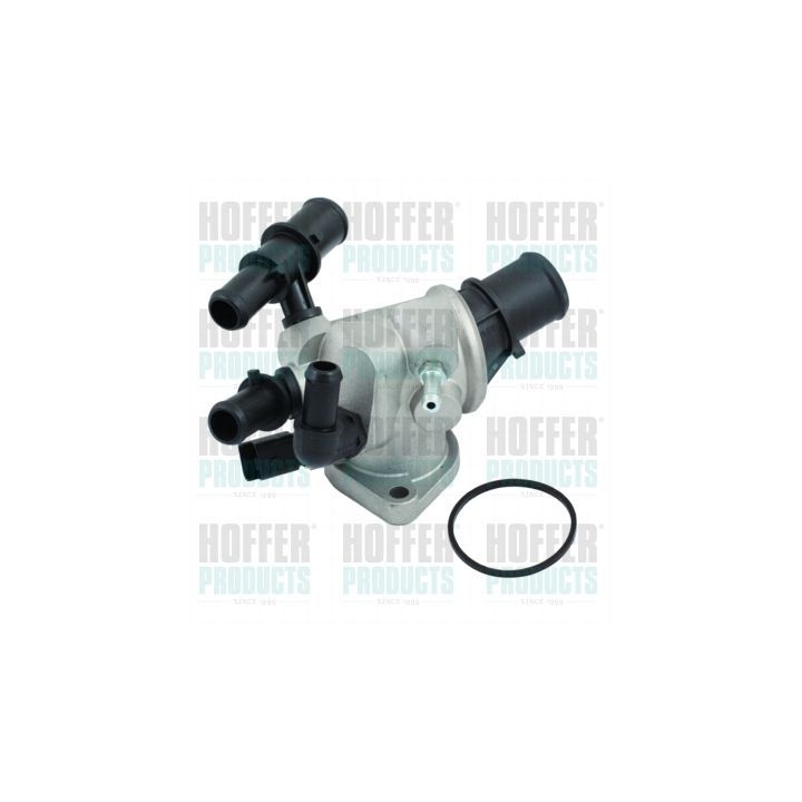 Termostatas, aušinimo skystis HOFFER 8192491