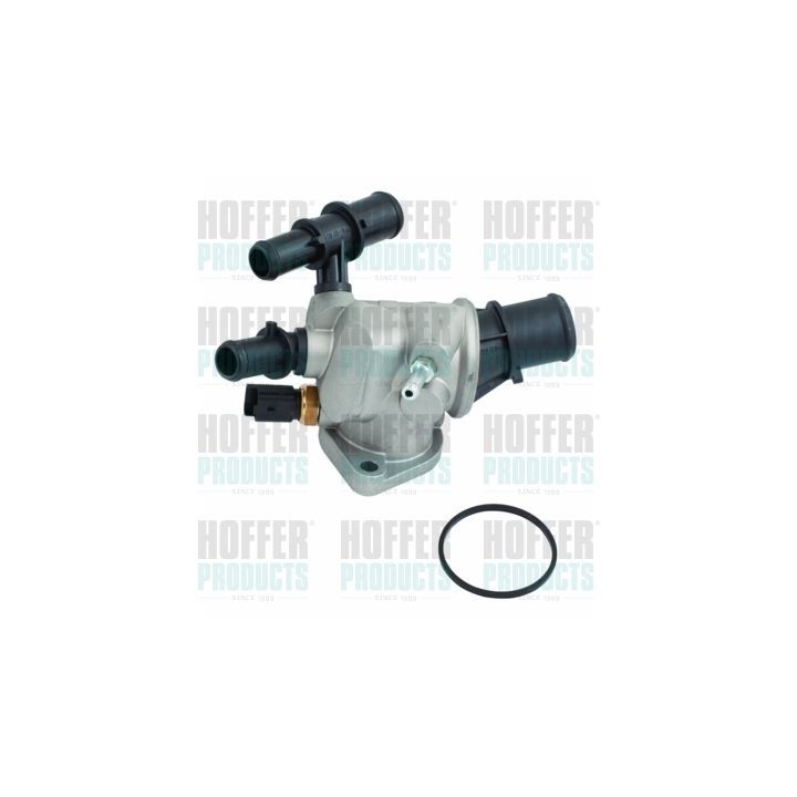 Termostatas, aušinimo skystis HOFFER 8192500