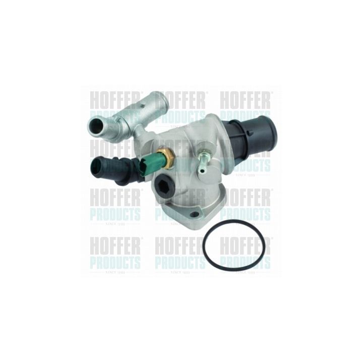 Termostatas, aušinimo skystis HOFFER 8192542