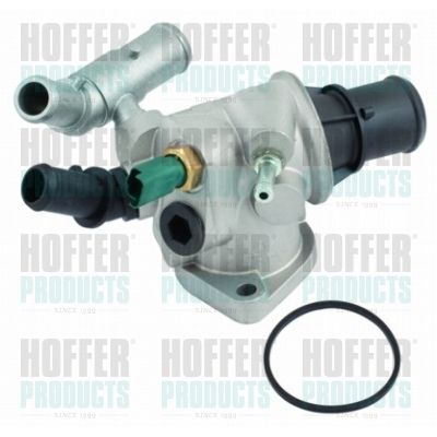 Termostatas, aušinimo skystis HOFFER 8192542