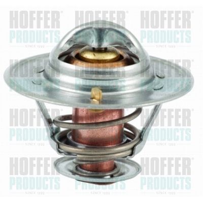 Termostatas, aušinimo skystis HOFFER 8192544