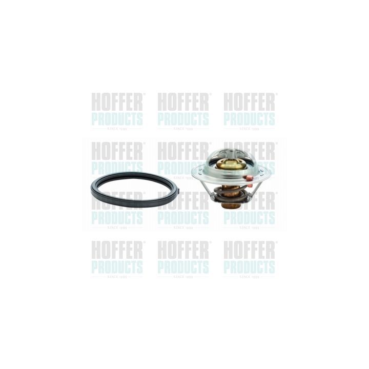 Termostatas, aušinimo skystis HOFFER 8192635