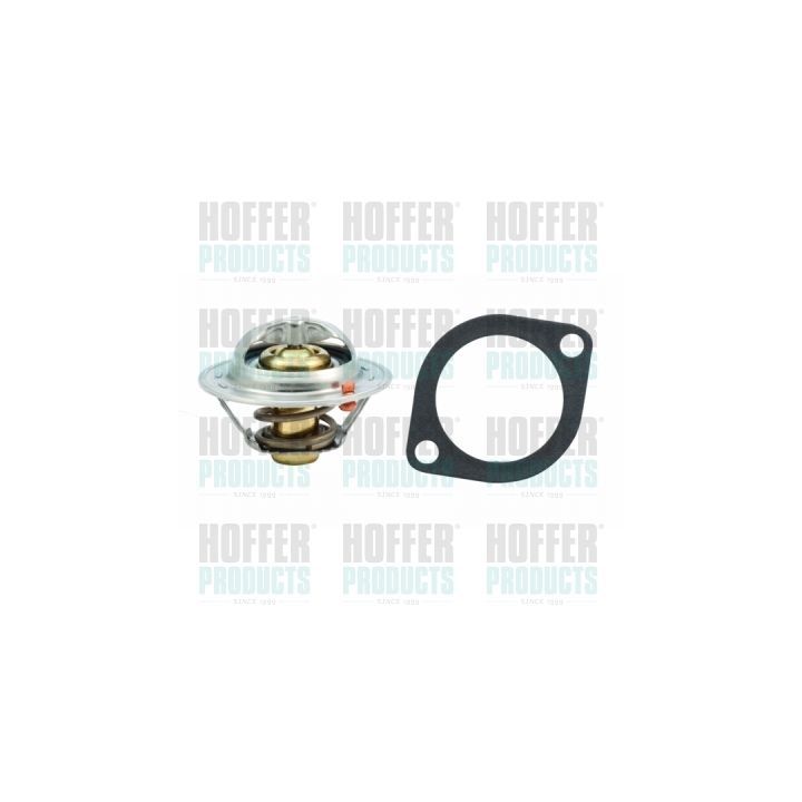 Termostatas, aušinimo skystis HOFFER 8192761
