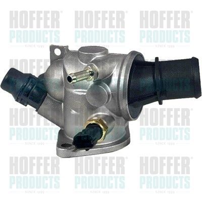 Termostatas, aušinimo skystis HOFFER 8192811