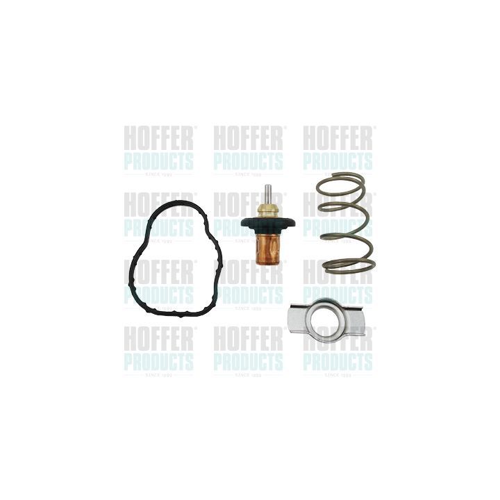Termostatas, aušinimo skystis HOFFER 8192842K