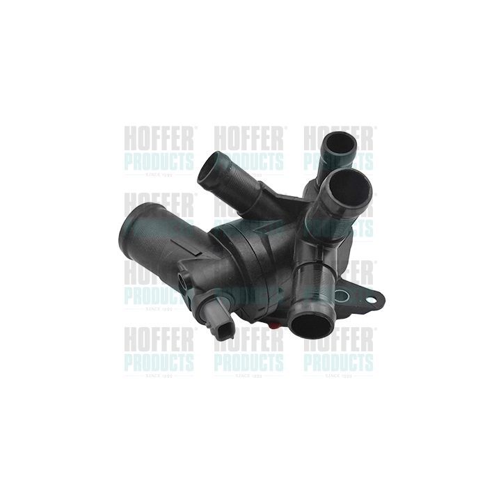 Termostatas, aušinimo skystis HOFFER 8192857