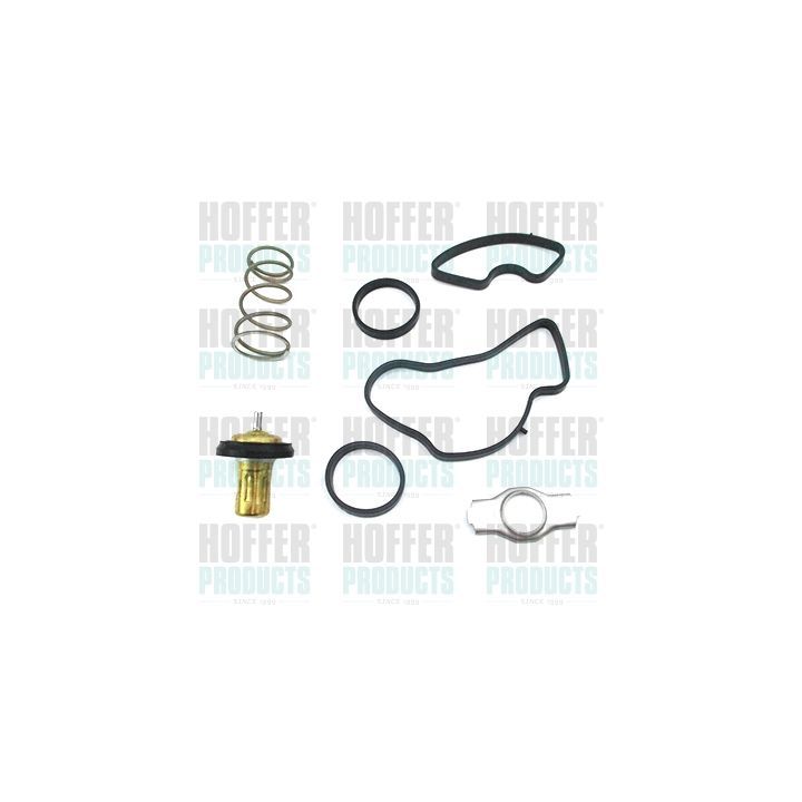 Termostatas, aušinimo skystis HOFFER 8192871