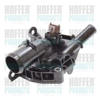 Termostatas, aušinimo skystis HOFFER 8192987