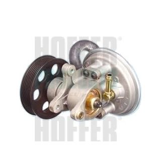 Vakuumo siurblys, stabdymo įrenginys HOFFER 8091081