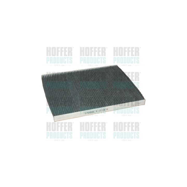 Filtras, salono oras HOFFER 17080K