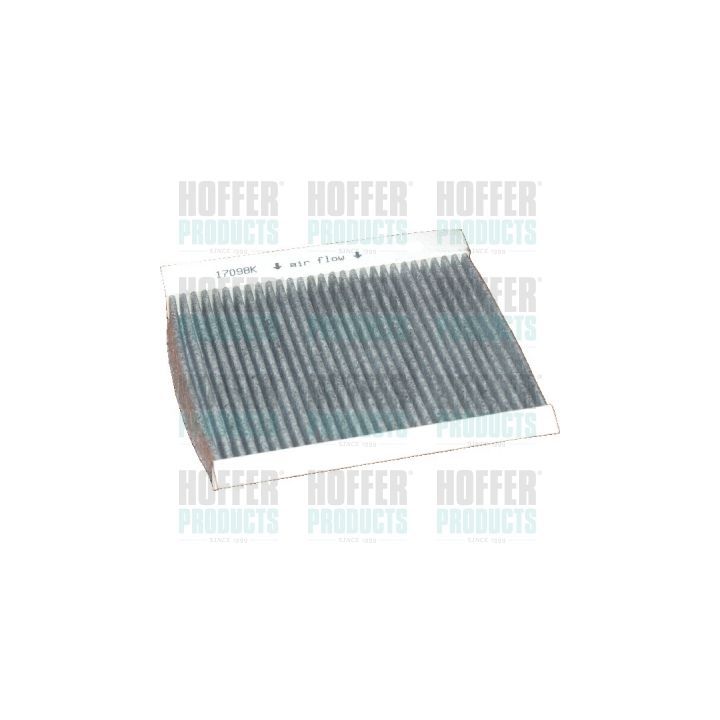 Filtras, salono oras HOFFER 17098K