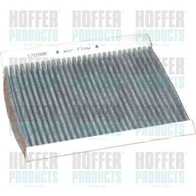 Filtras, salono oras HOFFER 17098K