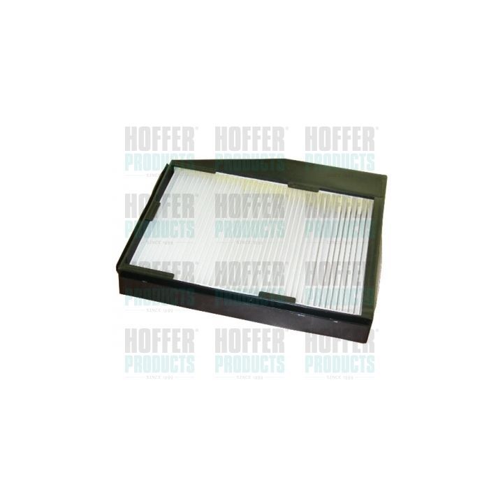 Filtras, salono oras HOFFER 17100F