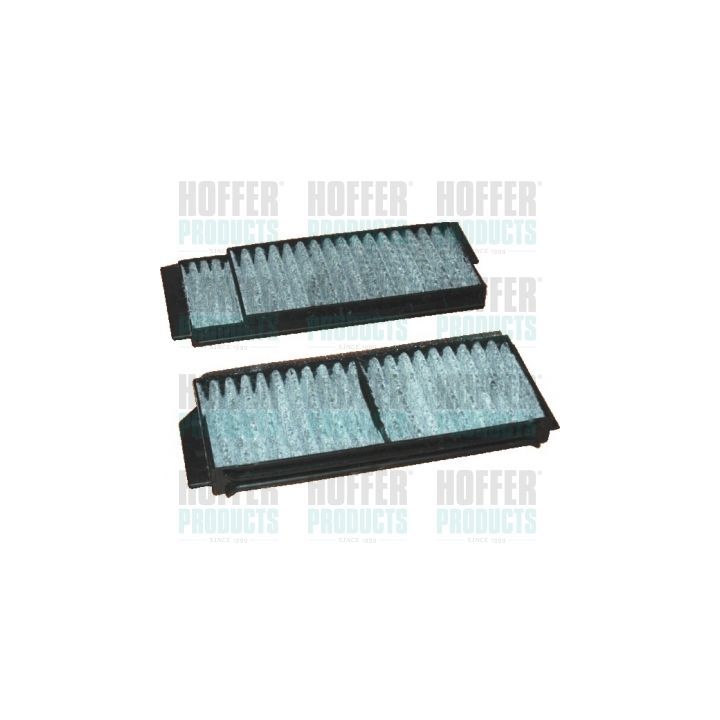 Filtras, salono oras HOFFER 17292FK-X2