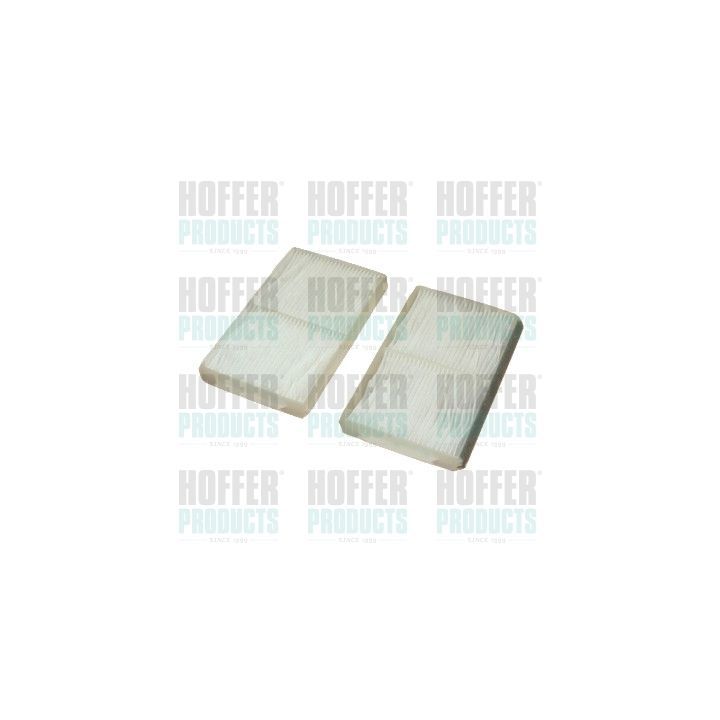 Filtras, salono oras HOFFER 17359F-X2