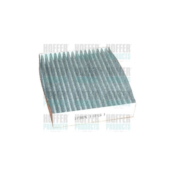 Filtras, salono oras HOFFER 17387K