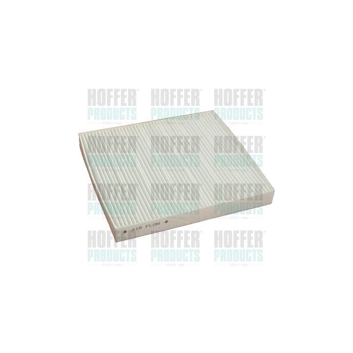 Filtras, salono oras HOFFER 17463