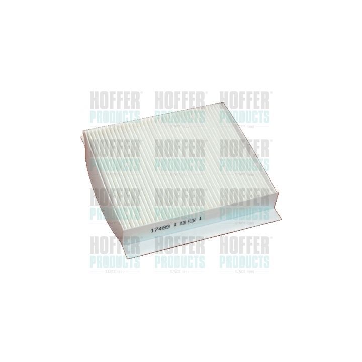 Filtras, salono oras HOFFER 17489