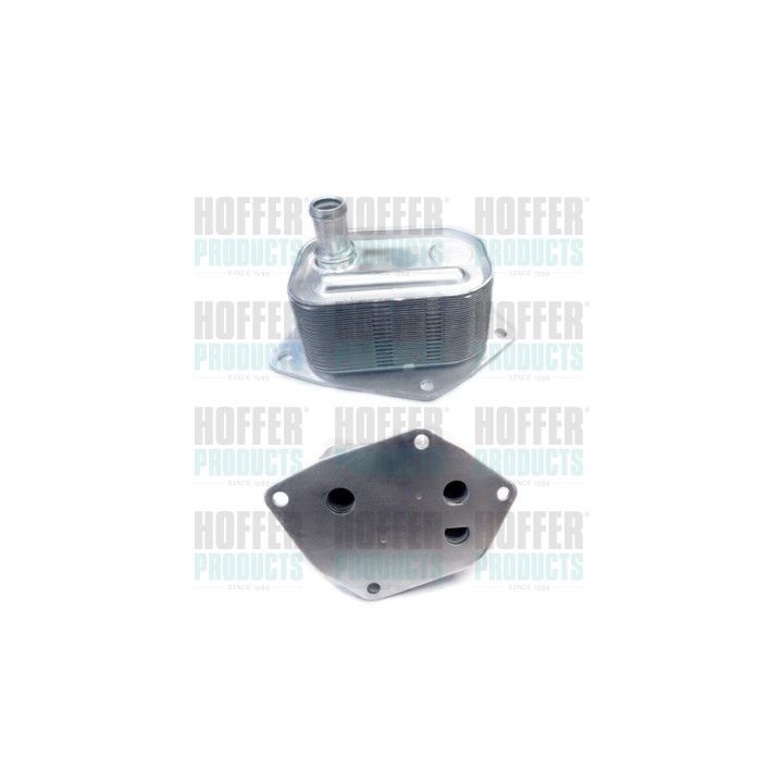 Alyvos aušintuvas, variklio alyva HOFFER 8095056