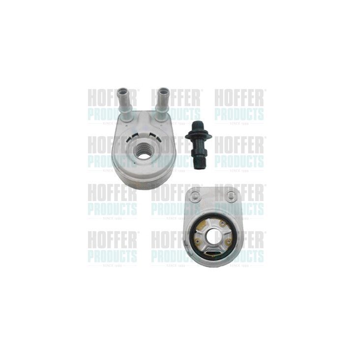 Alyvos aušintuvas, variklio alyva HOFFER 8095099