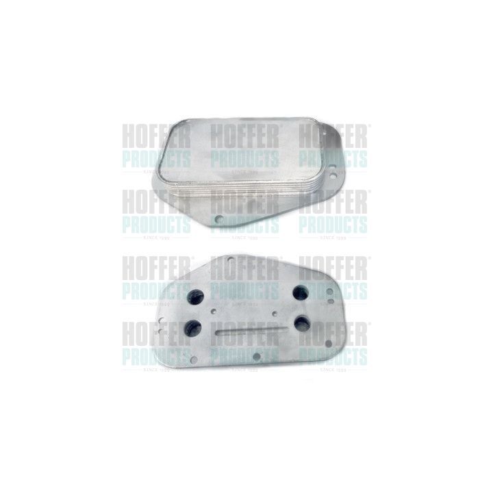 Alyvos aušintuvas, variklio alyva HOFFER 8095101