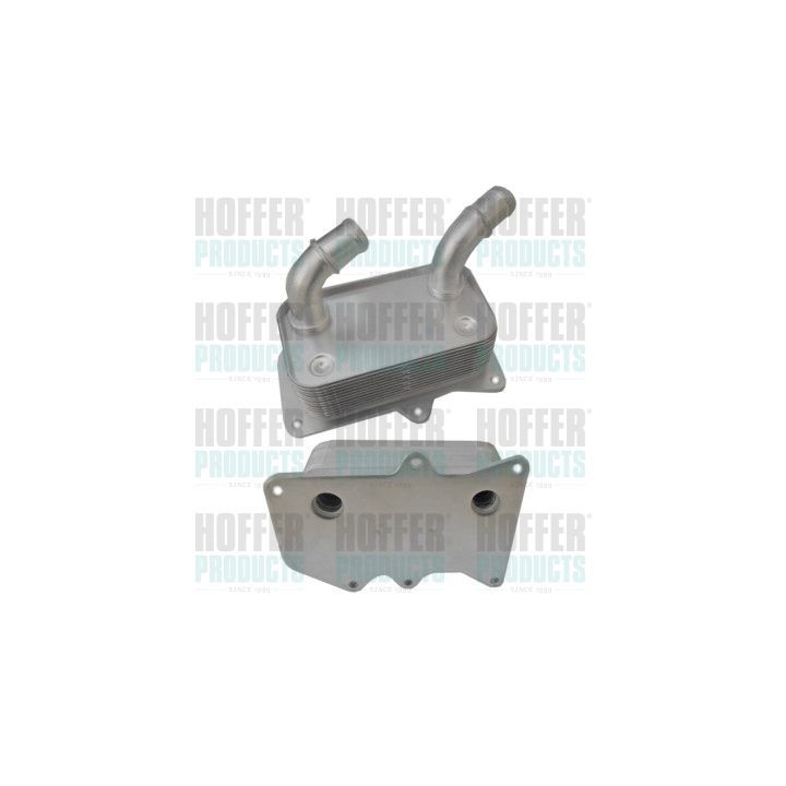 Alyvos aušintuvas, variklio alyva HOFFER 8095145