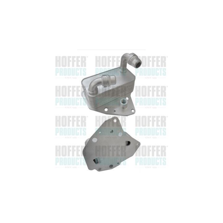 Alyvos aušintuvas, variklio alyva HOFFER 8095149