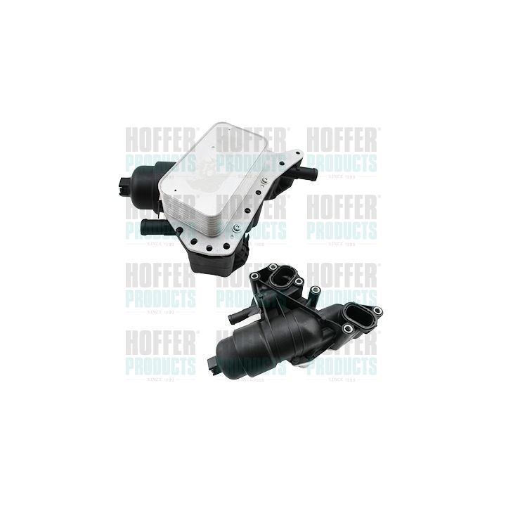 Alyvos aušintuvas, variklio alyva HOFFER 8095161C
