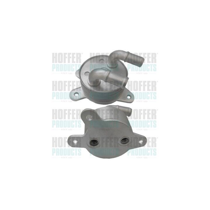 Alyvos aušintuvas, variklio alyva HOFFER 8095178