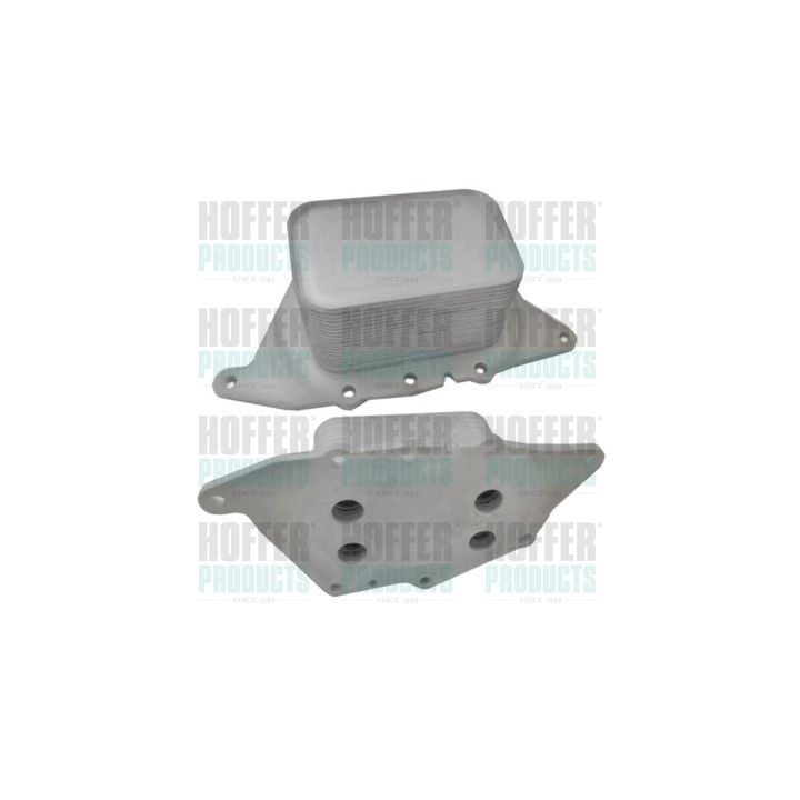 Alyvos aušintuvas, variklio alyva HOFFER 8095179