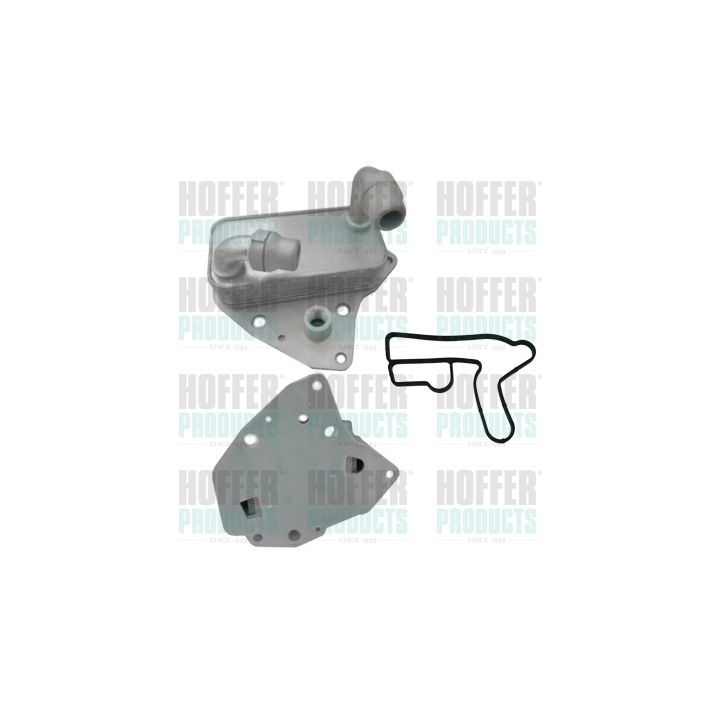 Alyvos aušintuvas, variklio alyva HOFFER 8095192