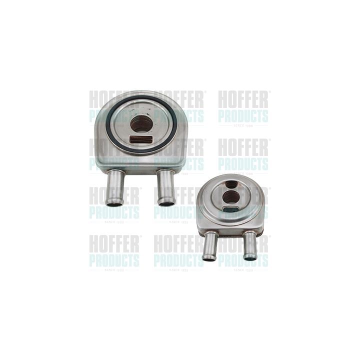 Alyvos aušintuvas, variklio alyva HOFFER 8095199