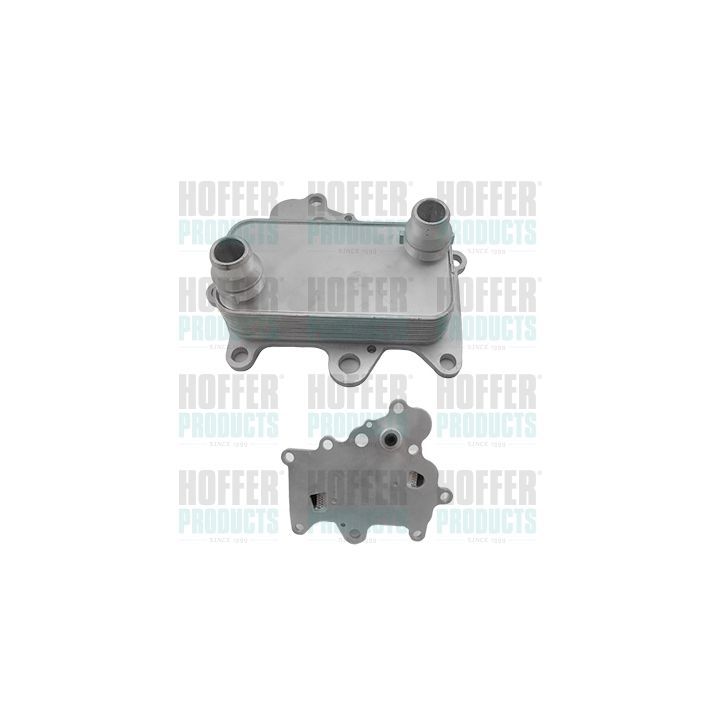 Alyvos aušintuvas, variklio alyva HOFFER 8095201
