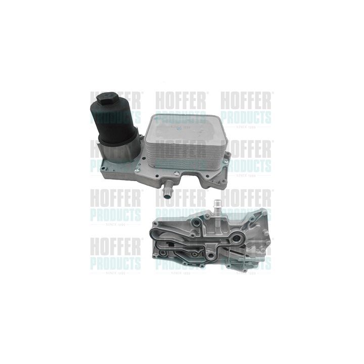 Alyvos aušintuvas, variklio alyva HOFFER 8095203C