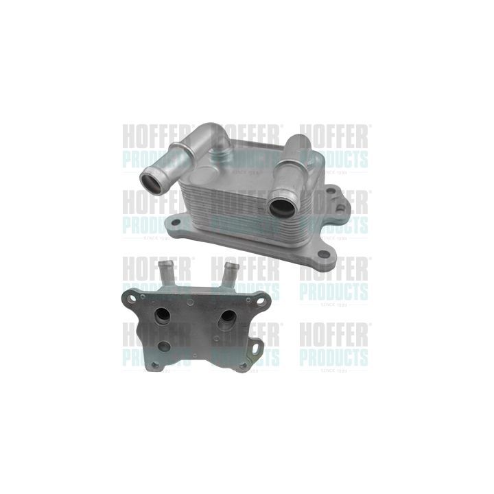 Alyvos aušintuvas, variklio alyva HOFFER 8095209