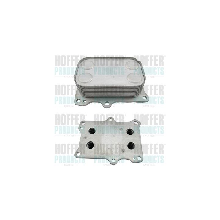 Alyvos aušintuvas, variklio alyva HOFFER 8095227